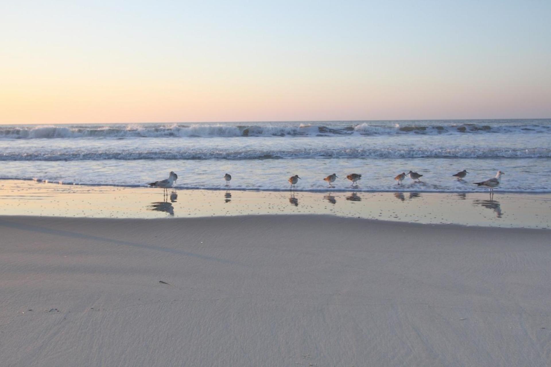 Serenity Folly Beach Exteriör bild